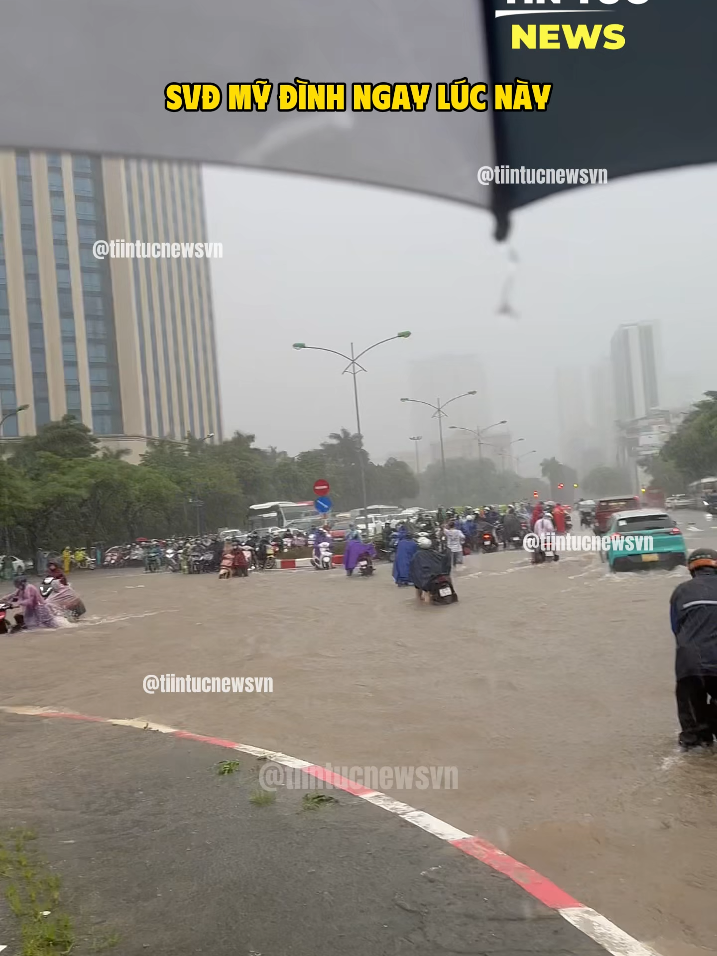 SVĐ MỸ ĐÌNH NGAY LÚC NÀY #tintucnewsvn #bãobualoi