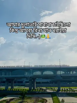 ~ সরি দুলাভাই😐🐸 #ffypシ #viralvideo #foryoupage #plzzz_saport_me #tiktok_bangladesh🇧🇩🇧🇩 