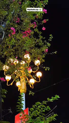 #rajshahi_city🌿 #সবুজের_শহর_রাজশাহী #প্রানের_শহর_রাজশাহী #foryou @For You House ⍟ @TikTok Bangladesh 