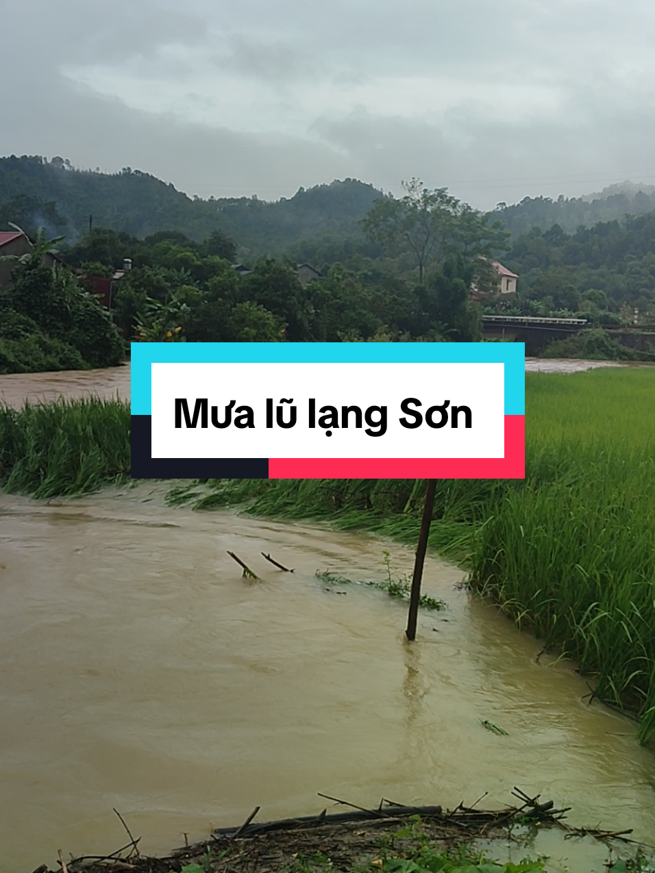 #nongphong #mưa lũ ls#