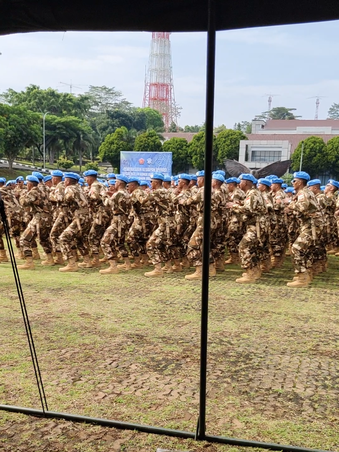 pasukan perdamaian dunia