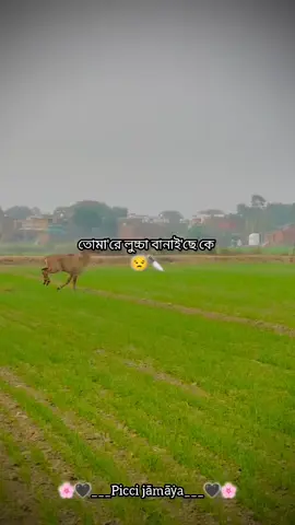 ভাইরাল নাহলে খবর আছে তুমাদের!! 🐸🌚 #foryou #fypシ゚ #vairalvideo #rxjahid90 #bdtiktokofficial🇧🇩 