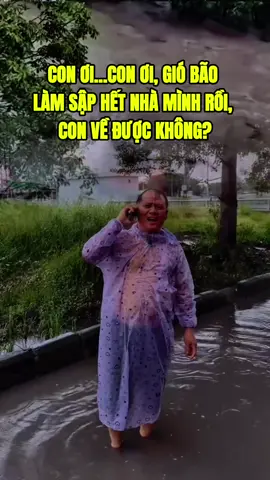 Nghe mà thương bà con ! #kientiger #viral #mưagióbãobùng #baoso10 #bãolụtmiềntrung 