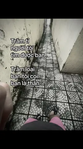 Trăm tỉ người tôi tìm được bạn , Trăm loại bạn tôi xem bạn là thân #viral 