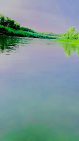 #viraltiktok #fypシ #10kviews #unfreezemyacount #foruyou #standwithkashmir #viralvideo #foryoupage❤️❤️ #fypage #pleasesupport #growmyaccount 