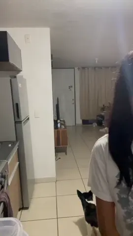 #viraltiktok #viraltiktok #paratiiiiiiiiiiiiiiiiiiiiiiiiiiiiiii #sigueme❤️ #humor 