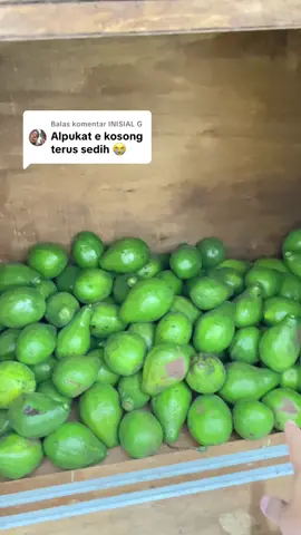 Membalas @INISIAL G ini alasan alpukat sering kosong  #alpukat #smoothies #mangomenggoda #klatenfyp #klatenboys🏴‍☠️ 