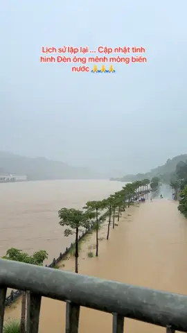 Các nhà tiên tri bảo năm nay hạn hán đâu bước ra đây ...🤨 Chỗ m.n thế nào rồi ? ổn không ạ 🥹🥺 Bảo Hà vẫn đang mưa rất to... #sắplễđềnôngbảybảohà #sắmlễđềnôngbảy #nguyệtsắplễđềnôngbảy #đềnbảohà #SapleDenOngBay #xuhuong #đềnbảohà #denongbaybaohalaocai @Sắp lễ đền Ông Bảy Bảo Hà 