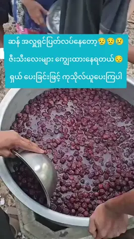 ဇီးသီးလေးများကျွေးထားရတယ်အမျိုးတို့ရေ#YGW #အဝါရောင်မျိုးဆက်သစ် #myanmartiktok #foryou #fyppppppppppppppppppppppp 