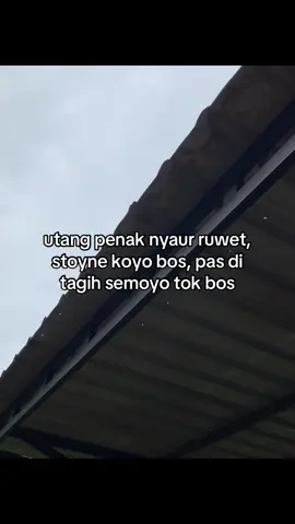 #4u #bismillahfypシ #foryoupage #jowostory #masukberanda 