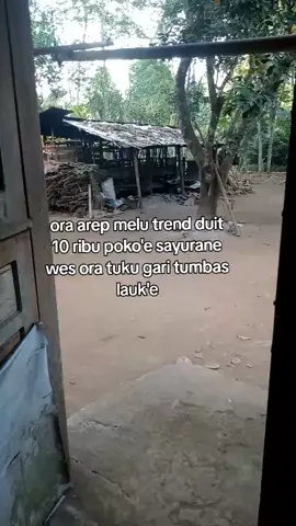 ena'e urip nang kampung seneng ono susah yo wes tau #sayuran  #nangkamuda  #purworejojateng 