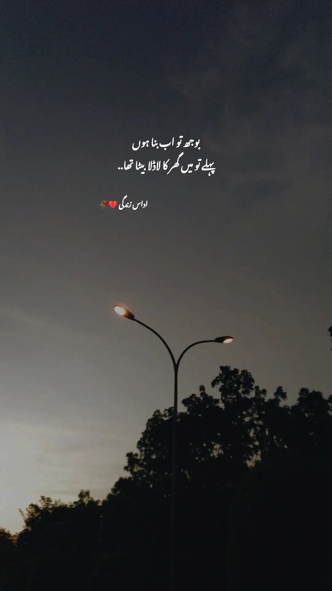 بوجھ تو اب بنا ہوں  پہلے تو میں بھی گھر کا لاڈلا بیٹا تھا ۔۔🥺💔 #foryoupage #viwesproblem #unfreezemyaccaunt🙏🙏🙏 #ilovemohammadsaw #plzzz_saport_me 