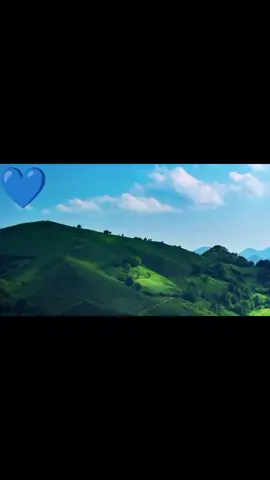 #creatorsearchinsights #ethiopiamoves💚💛❤ethopia 🫰🇪🇹🪷🇪🇷