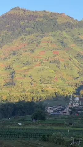 Punya kenangan apa di jalan Dieng ini? #fyp #dieng #wonosobo 