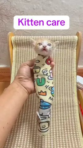 Baby 🐱 #meow #cats #lovecat #toptrending #meomeo 