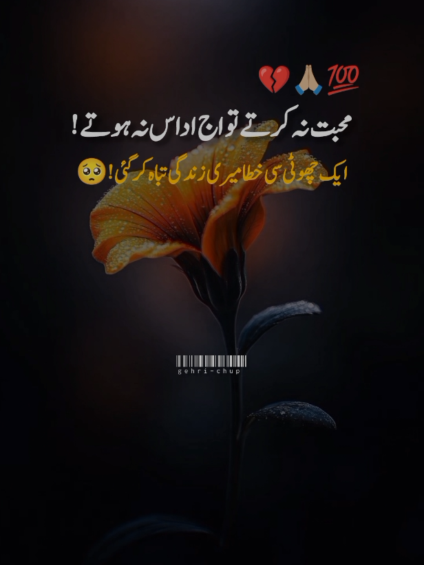 #viewproblem💔🥺🙏🙏 #urdupoetry #deeplines #saidpoetry💔😭💔 #gehrii_chupp8 