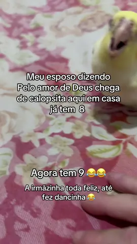#nascimento #comenten #curte #meme #mesegui 