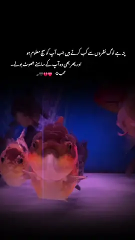 پتہ ہے لوگ نظروں سے کب گرتے ہیں جب آپ کو سچ معلوم ہو اور پھر بھی وہ آپ کے سامنے جھوٹ بولے  #1millionaudition #aesthetic #foryou #foryoupagе #tranding 