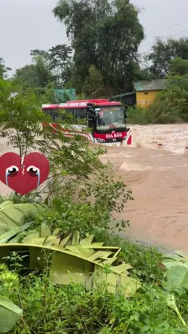 Thằng bạn quá nhọ thôi cố gắng còn người còn của Hà Giang mùa này chưa bao giờ đơn giản#laixeantoan #khanhlinhtrans #Backhanhlinhtrans #xuhuong #thinhhanh @Du lịch vinh bích travel @Tuấn Anh Travel 