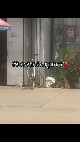 Me:នៅនឹកញុមអត់#សុំអាធ្យាស្រ័យបេីខុសឆ្គងត្រង់កន្លែងណា🙏 #100k #នាទីធ្លាក់like💔🙃 