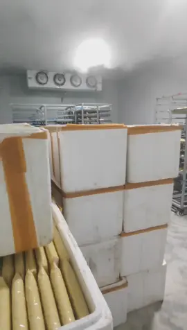 Penyimpanan cold storage untuk buah ☺️❄️ Fresh lebih lama, kualitas tetap terjaga! Wa:+628131228326 #coldroom #coldstorage #frozenfood #commercialkitchen #kitchenequipment 