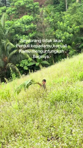 #fyp #anakpetani #petani #kelapa #fyppp 