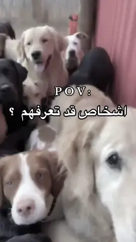 🤣🤣🤣#اشخاص_قد_تعرفهم #الزاويه_العنقاء_ليبيا🇱🇾 #لايك_متابعه_اكسبلور #ليبيا_طرابلس_مصر_تونس_المغرب_الخليج #الشعب_الصيني_ماله_حل😂😂 