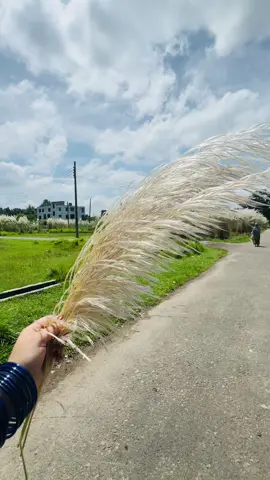 জীবনে ভালোভাবে বেঁচে থাকার জন্য ভালোবাসা আর পাওয়াটা দরকার। এই দুটো জিনিসেই একজন মানুষকে পরিপূর্ণ সুখি করে তুলতে পারে...💙#fypシ゚ #foryoupage #reanding #foreyou 
