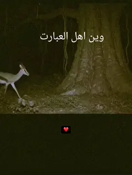 ##وين #اهل #العبارات_حزينه💔💔 