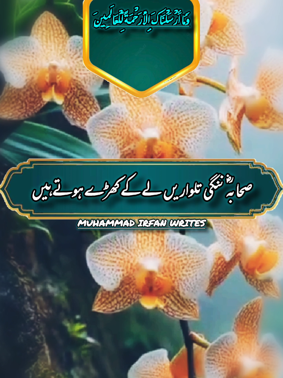 #creatorsearchinsights#status #statusvideo #islam #islamicvideo 