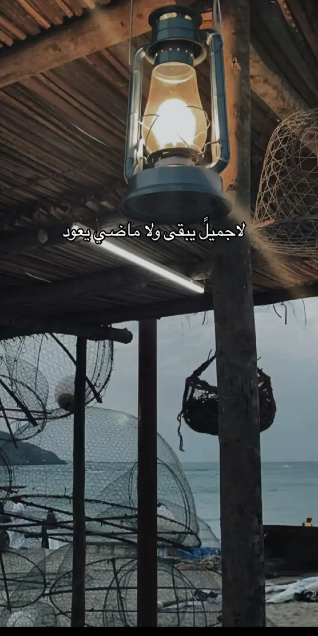 #اكسبلورexplore 