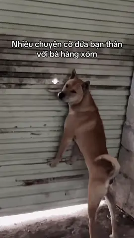 Nhiều chuyện lắm