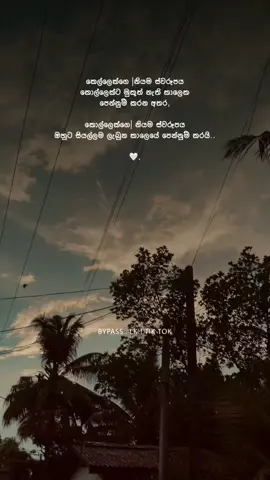 Fact 🤍| #contentcreator #bypass #quotes #fypシ゚viral #sinhala 