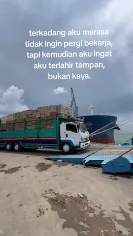 aserehee🤘🏻 #masukberanda #storytruck #sopirtruck #lintassulawesi #fyp 