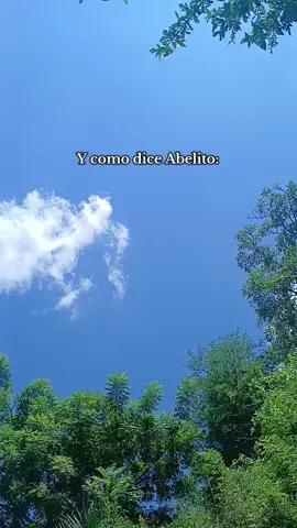 #abelito #lacasadelosfamosos #buenosdias #fyp #motivation 