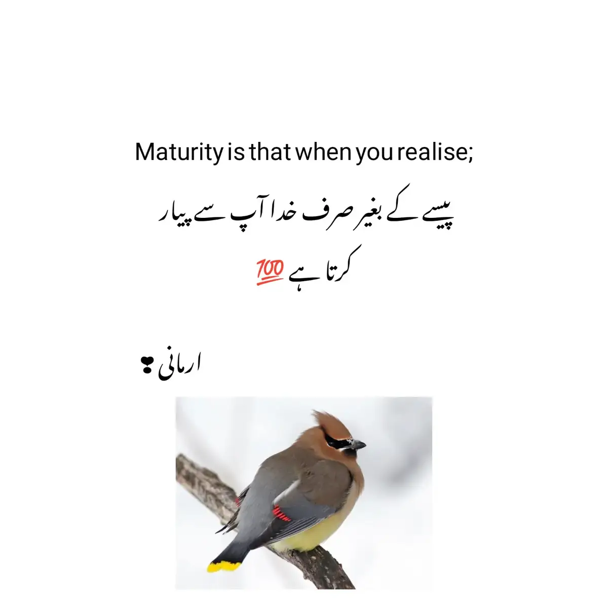 Maturity is that when you realise; پیسے کے بغیر صرف خدا آپ سے پیار کرتا ہے 💯#fypofficial #viralvedio😭😭 #armaniwrites0 #armani #viralaccount🖤👍 