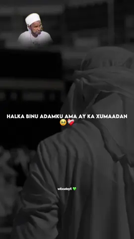 Qalbiga 🥹🫀 #sheekh_xusen_cali_jabuti #kusali_rusul_kena_muxamed_scw #muxaadaro #wacdi_iyo_waano #allahuakbar 