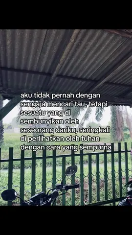 #galaubrutal #fyp 
