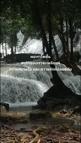 #เธรด #เธรดความรู้สึก #สตอรี่ความรู้สึก #ยืมลงสตอรี่ได้ #fyp 