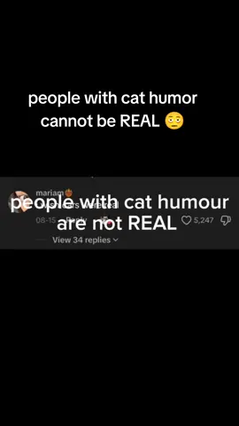 am i right or am i right lads #nerd #cat #fyp #fuh #real 