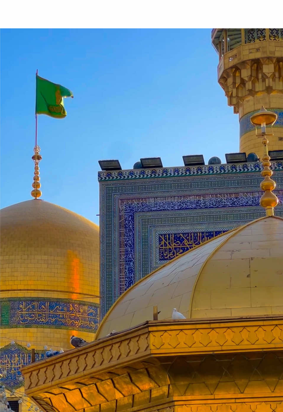 یا ابالحسن یا علی بن موسیٰ الرضا ع❤️‍🩹🫶🏻  #imamraza #mashhad  #foryou #viral #trending 