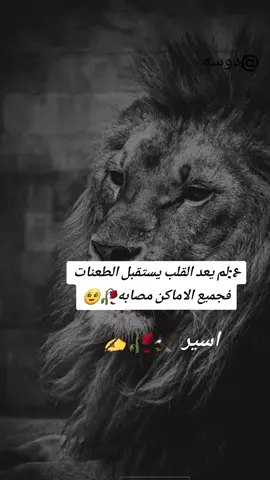 #مشاهير_تيك_توك #اسيرة_الاحزان💔 #دوسه #حفظك #الله #تحياتي #للجميع #المتابعين #متابعه_ولايك_واكسبلور_فضلا_ليس_امر 