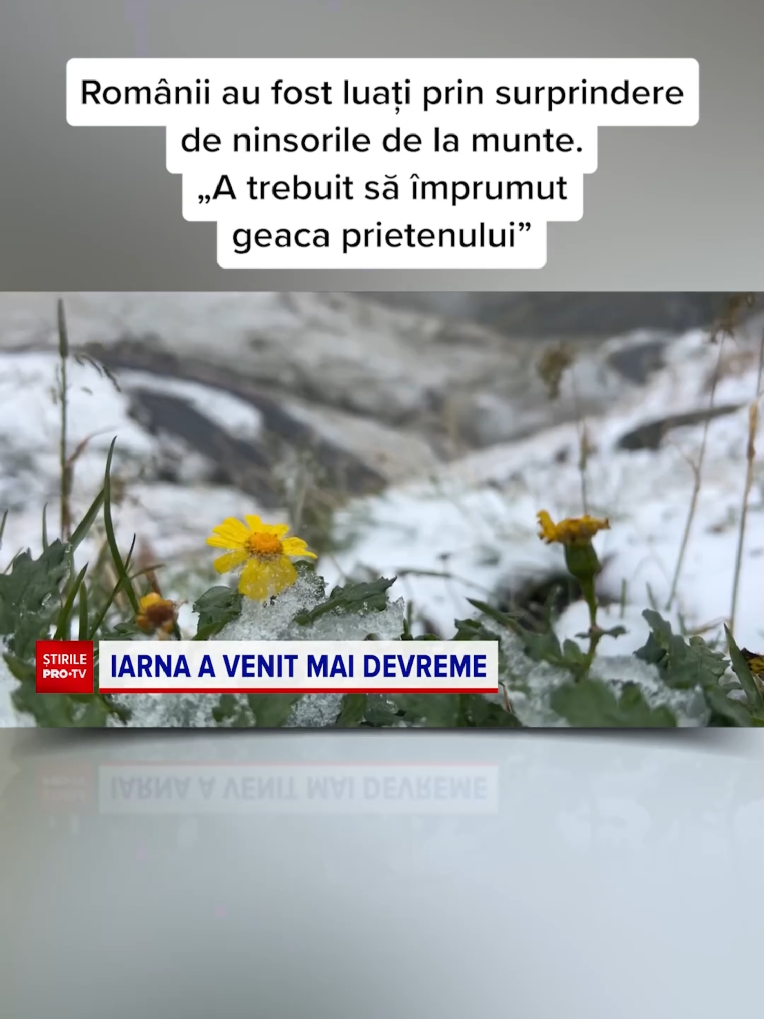 Anul acesta, iarna a venit la final de septembrie. În zona de munte a nins deja, în condițiile în care întreaga țară este de luni sub informare de vreme severă. S-a făcut frig în toate regiunile și, potrivit meteorologilor, așa o să fie toată săptămâna.  #stirileprotvdeastazi #news #stiri #protv #stirileprotv