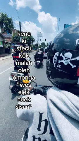 pokok #stecu #foryouu 