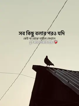 সব কিছু বলার পরও যদি কেউ না বোঝে তাইলে সেখানে চুপ করে থাকাই শ্রেয়..!❤️‍🩹#foruyou #foryoupage #trending 