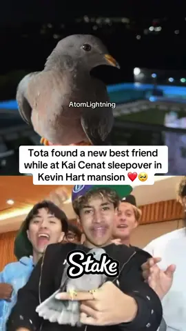 Tota found a new best friend while at Kai Cenat sleepover in Kevin Hart mansion ❤️🥺 #kaicenat #mafiathon3 #kevinhart #tota #rayasianboy @Kai Cenat @Tota Mc 