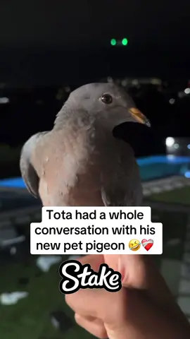 #tota #fypviral 