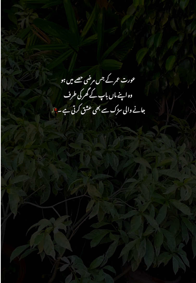 Bilkul💯🫠#grow #fyp #poetry #viralvideos #aestheticvideos 