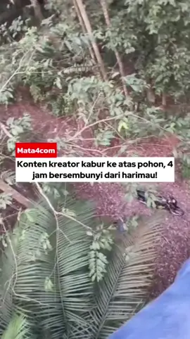 Seorang konten kreator asal Malaysia, Fahad Mk, harus bertahan hampir empat jam di atas pohon setelah seek0r h4r1m4u muncul di semak-semak dekat dirinya. Momen men3g4ngk4n itu ia bagikan langsung melalui akun TikTok pribadinya. Beruntung, Fahad berhasil selamat setelah h4r1m4u tersebut akhirnya pergi. #Mata4 #Malaysia #viral #BeritaViral