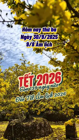 Chỉ còn 139 ngày nữa là đến Tết Âm lịch 2026 #naotoitet #tet2026 